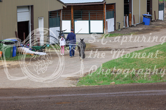 2026 - Shea - Bow Valley I - Sunday May 10th - 00016