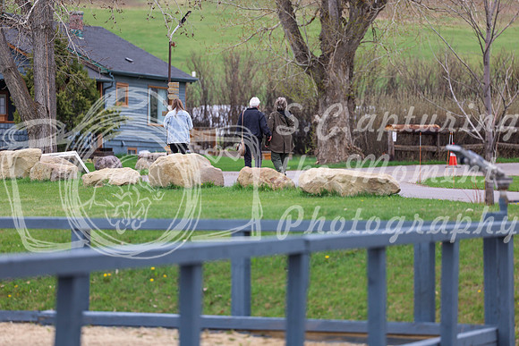 2026 - Shea - Bow Valley I - Sunday May 10th - 02167