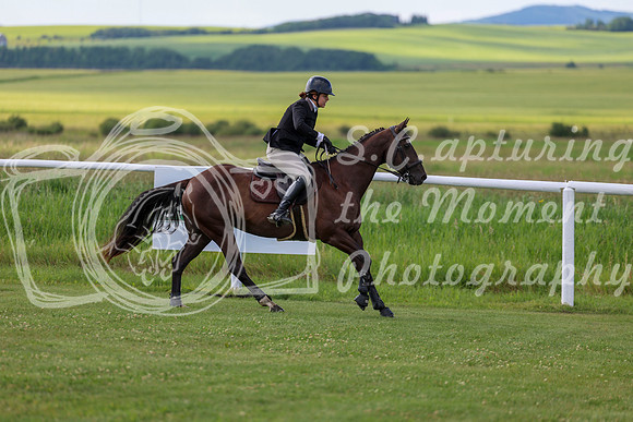 2025 - Shea - Teesdale - Friday July 25th - 03743