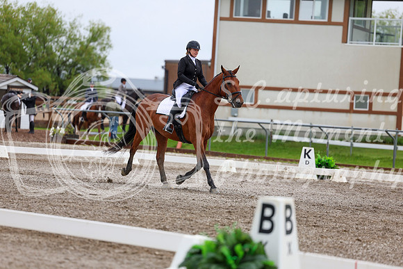 2025 - Dressage Festival - Sunday July 6th - 05000
