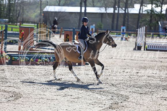 2026 - Shea - Bow Valley II - Thurday May 14th - 00715