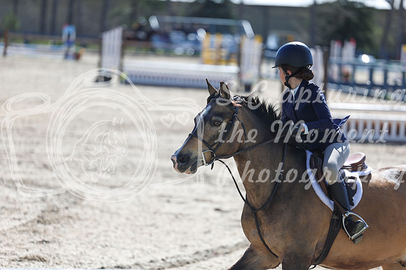 2026 - Shea - Bow Valley II - Thurday May 14th - 00726