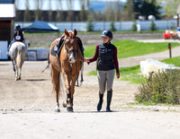 Bow Valley Classic II
