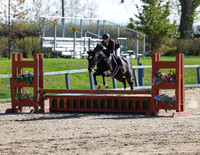 Pony Hunter