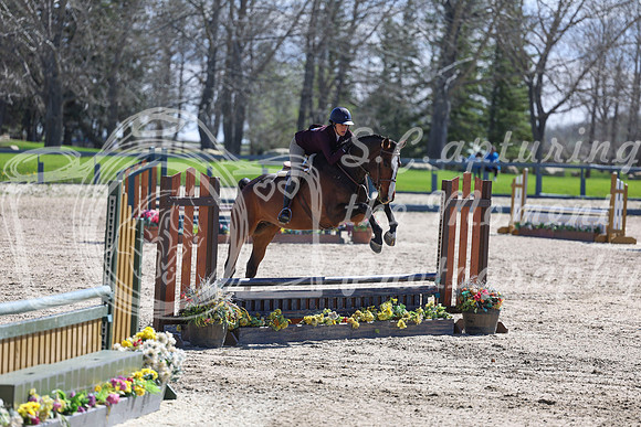 2026 - Shea - Bow Valley II - Thurday May 14th - 01370