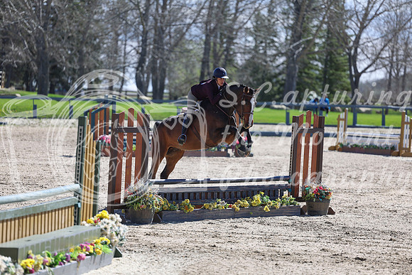 2026 - Shea - Bow Valley II - Thurday May 14th - 01369