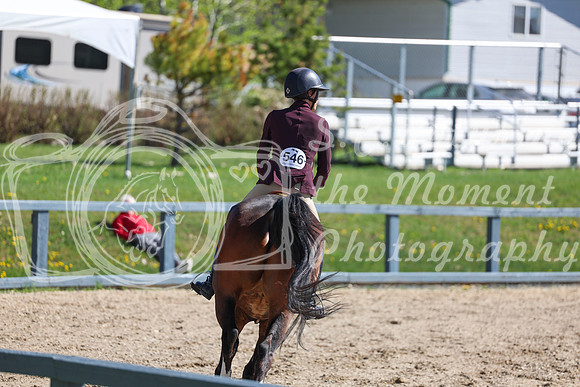 2026 - Shea - Bow Valley II - Thurday May 14th - 01380