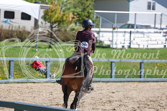 2026 - Shea - Bow Valley II - Thurday May 14th - 01381