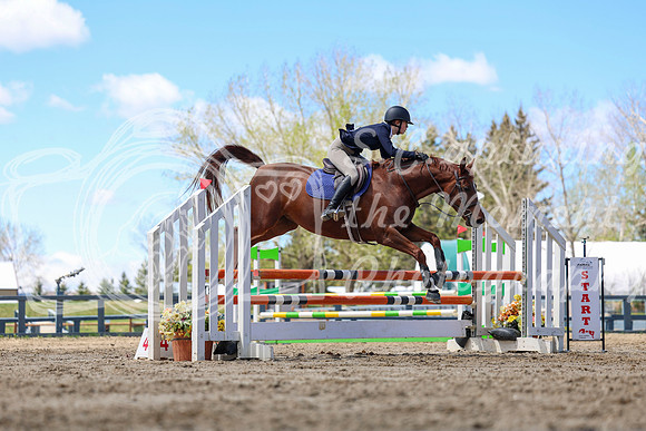 2026 - Shea - Bow Valley II - Thurday May 14th - 03158