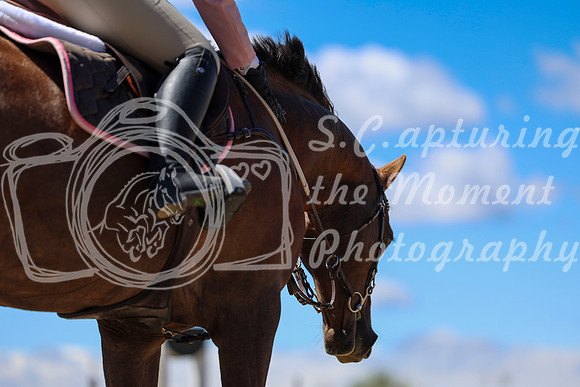2026 - Shea - Bow Valley II - Thurday May 14th - 02884