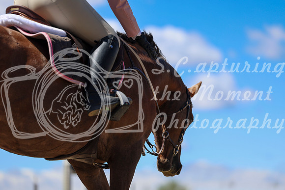 2026 - Shea - Bow Valley II - Thurday May 14th - 02887