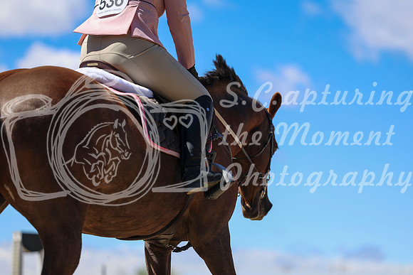 2026 - Shea - Bow Valley II - Thurday May 14th - 02889