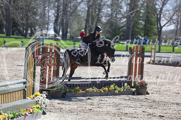 2026 - Shea - Bow Valley II - Thurday May 14th - 01304