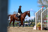 2026 - Shea - Bow Valley II - Thurday May 14th - 02670