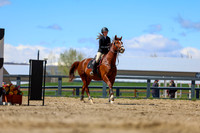 2026 - Shea - Bow Valley II - Thurday May 14th - 02680