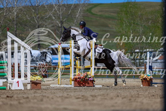 2026 - Shea - Bow Valley II - Thurday May 14th - 02837