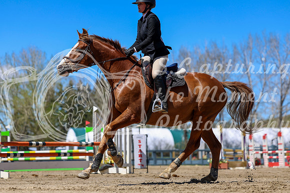 2026 - Shea - Bow Valley II - Thurday May 14th - 02576