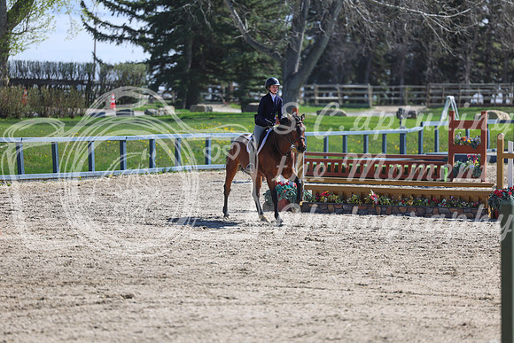 2026 - Shea - Bow Valley II - Thurday May 14th - 01549