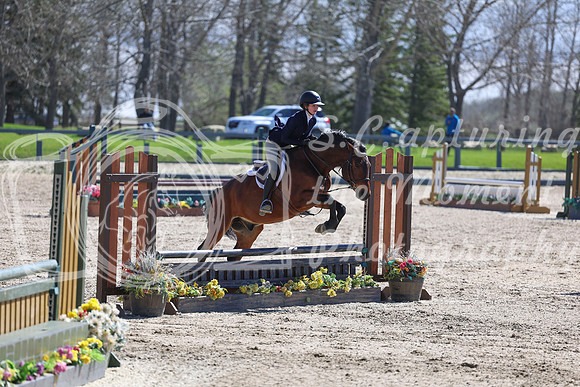 2026 - Shea - Bow Valley II - Thurday May 14th - 01553