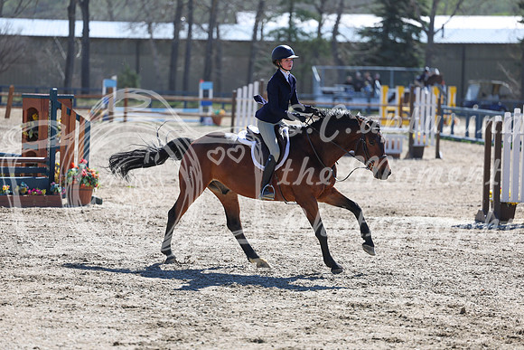 2026 - Shea - Bow Valley II - Thurday May 14th - 01559
