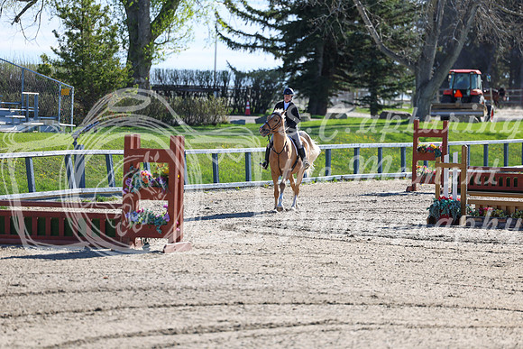 2026 - Shea - Bow Valley II - Thurday May 14th - 00114