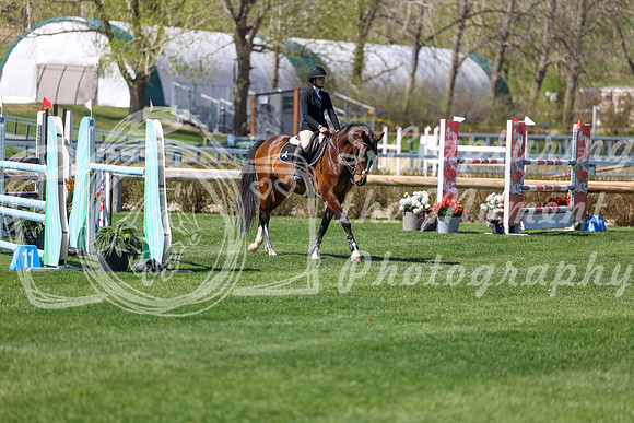 2026 - Shea - Bow Valley II - Thurday May 14th - 04358