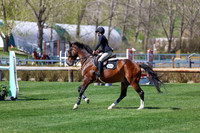 2026 - Shea - Bow Valley II - Thurday May 14th - 04359