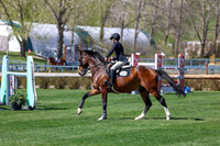 2026 - Shea - Bow Valley II - Thurday May 14th - 04362