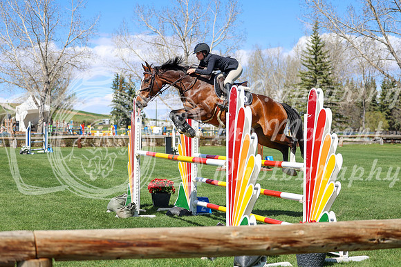 2026 - Shea - Bow Valley II - Thurday May 14th - 04373