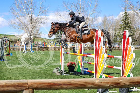 2026 - Shea - Bow Valley II - Thurday May 14th - 04376