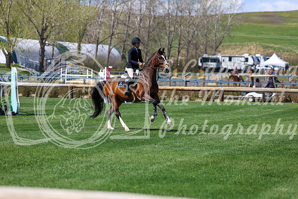 2026 - Shea - Bow Valley II - Thurday May 14th - 04379