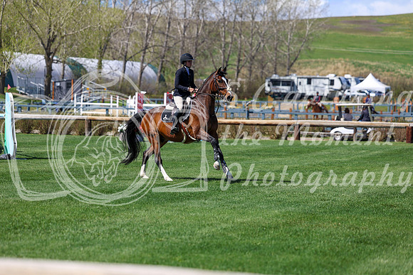 2026 - Shea - Bow Valley II - Thurday May 14th - 04380