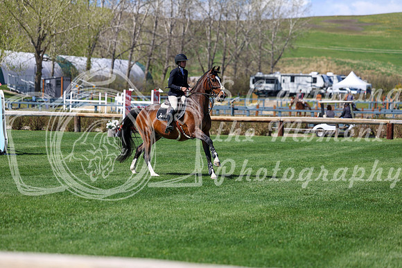2026 - Shea - Bow Valley II - Thurday May 14th - 04381