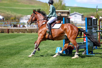 2026 - Shea - Bow Valley II - Thurday May 14th - 04432