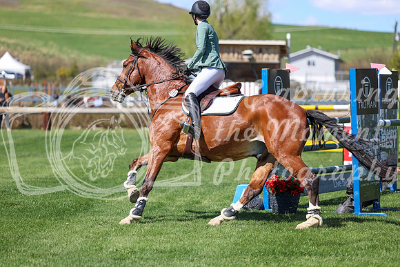 2026 - Shea - Bow Valley II - Thurday May 14th - 04433