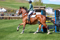 2026 - Shea - Bow Valley II - Thurday May 14th - 04434