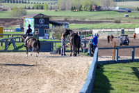 2026 - Shea - Bow Valley II - Thurday May 14th - 00004