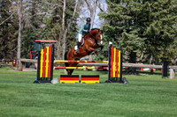 2026 - Shea - Bow Valley II - Thurday May 14th - 04440