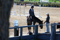 2026 - Shea - Bow Valley II - Thurday May 14th - 00688