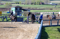2026 - Shea - Bow Valley II - Thurday May 14th - 00007