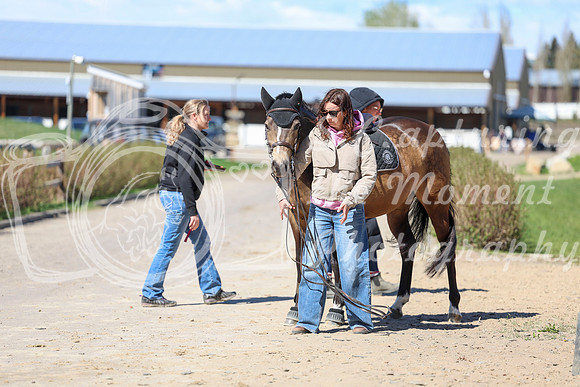 2026 - Shea - Bow Valley II - Thurday May 14th - 01701