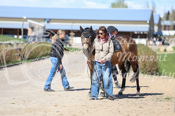 2026 - Shea - Bow Valley II - Thurday May 14th - 01702
