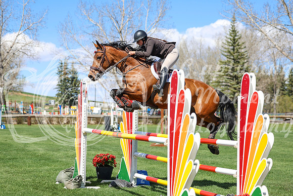 2026 - Shea - Bow Valley II - Thurday May 14th - 04536