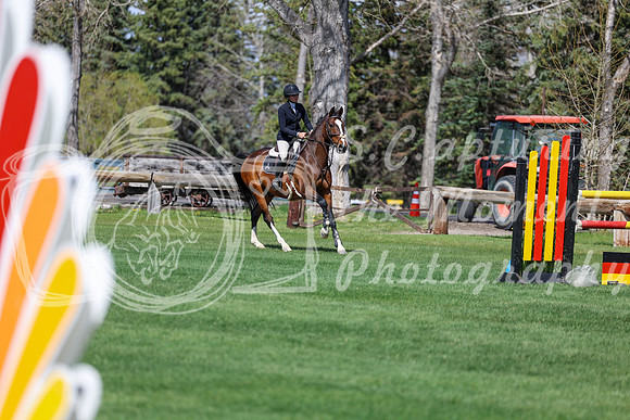 2026 - Shea - Bow Valley II - Thurday May 14th - 04603