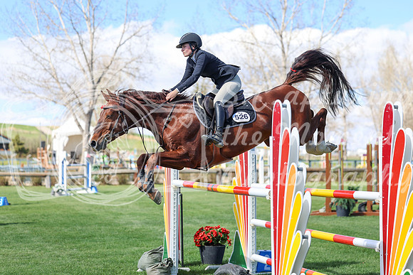 2026 - Shea - Bow Valley II - Thurday May 14th - 04989