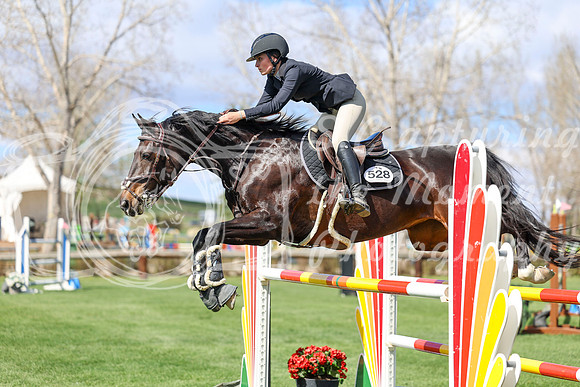 2026 - Shea - Bow Valley II - Thurday May 14th - 04869