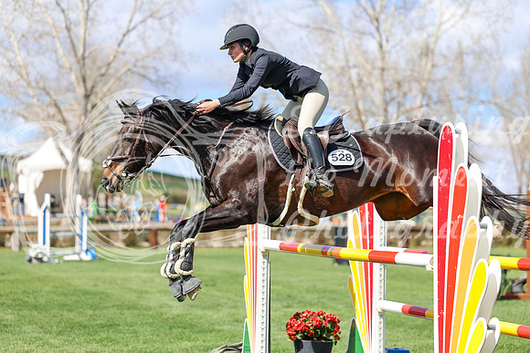 2026 - Shea - Bow Valley II - Thurday May 14th - 04870