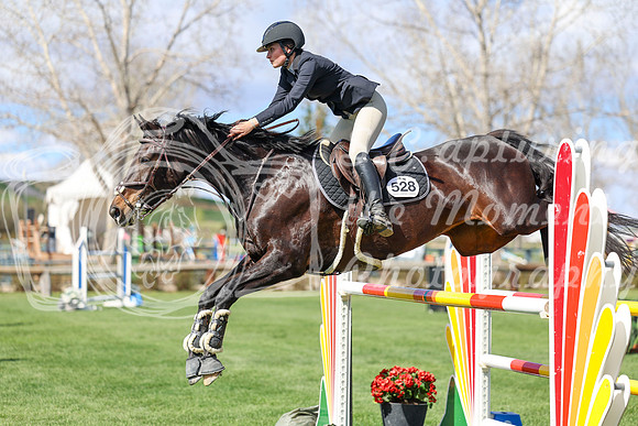 2026 - Shea - Bow Valley II - Thurday May 14th - 04871