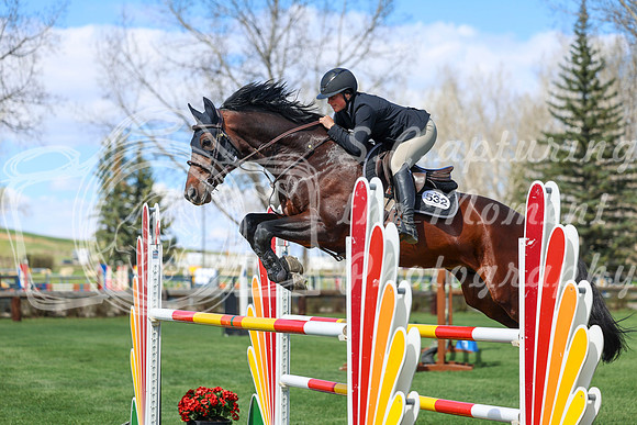 2026 - Shea - Bow Valley II - Thurday May 14th - 04794