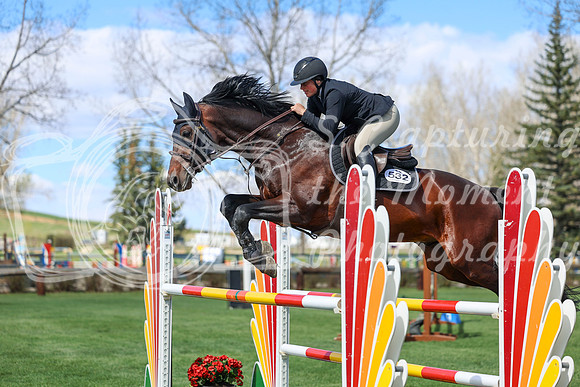2026 - Shea - Bow Valley II - Thurday May 14th - 04795
